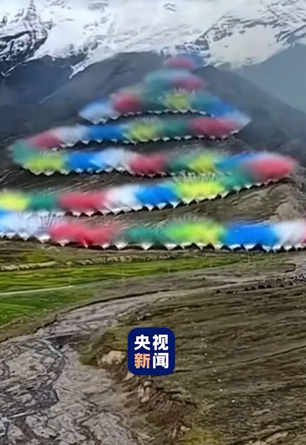 鼻祖鸟被骂，不冤